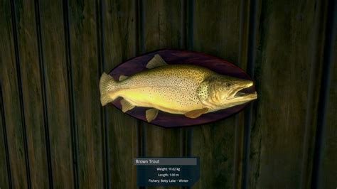 Ultimate Fishing Simulator Review – Capsule Computers