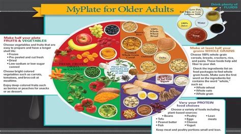 Nutrition Handouts For Elderly Blog Dandk