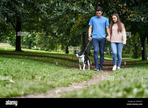 Man Walking Dog Woods Hi Res Stock Photography And Images Alamy