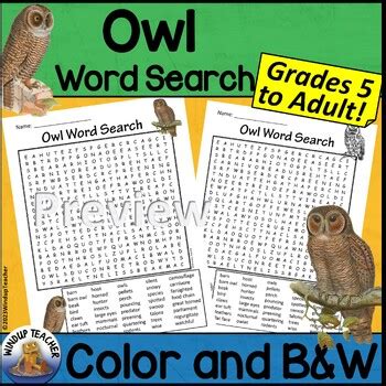 Owl Word Search Hard For Grades To Adult By Windup Teacher Tpt