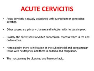 female genital system cervix lesions pptx