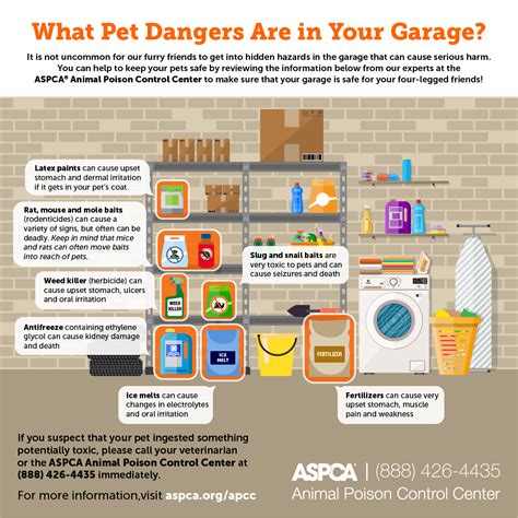 What Pet Dangers Are In Your Garage ASPCA