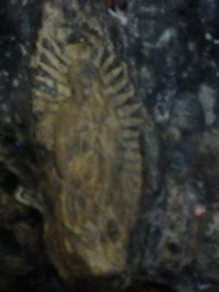 tequeme el chorrito hidalgo tamaulipas