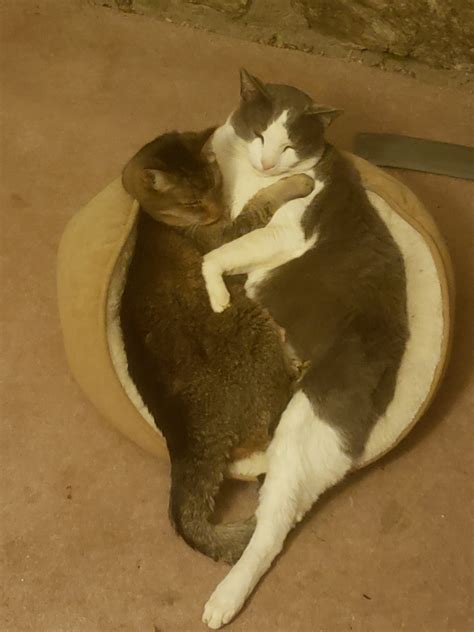 Links Archives Naked Capitalism