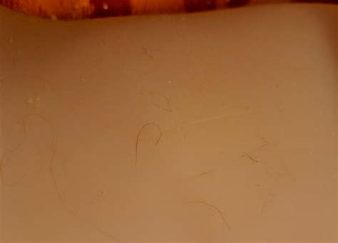 How To Clean A Sex Doll 3 Different Ways Bedbible