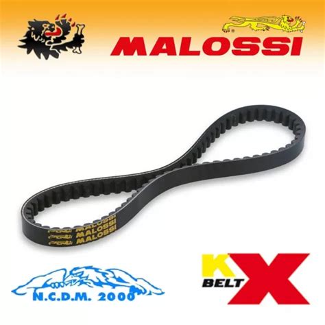 Malossi Cinghia Di Trasmissione X K Belt Malaguti Madison