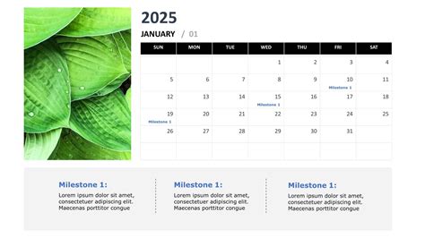 Microsoft Powerpoint Calendar Template Free Muire Margarete