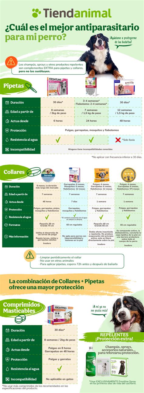 Se Puede Desparasitar Tomando Antibiotico Bienpincherico Mx