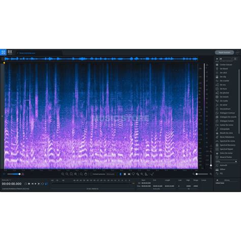 IZotope RX 9 Advanced Upgrade From Any Version RX Standard License Code