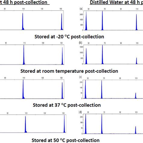 Electropherograms Show The Mini 4 Plex Multiplex PCR Amplification Of