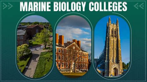 25 Best Marine Biology Colleges - Fees, Score & All Stats (2025)