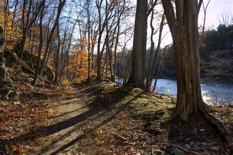 Path Along The Black River Dave Aragona Flickr