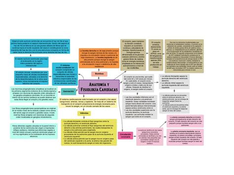 Anatomía y Fisiología Cardiaca Joy Cortez uDocz