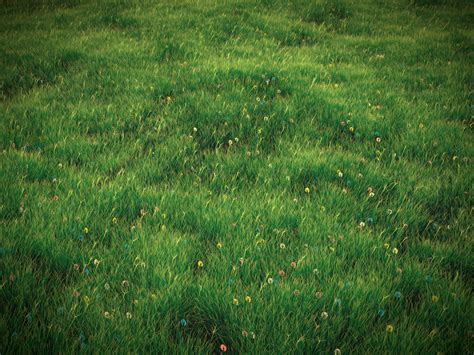 Grass 3d Render Blender 2 65 By Maxigamer On Deviantart