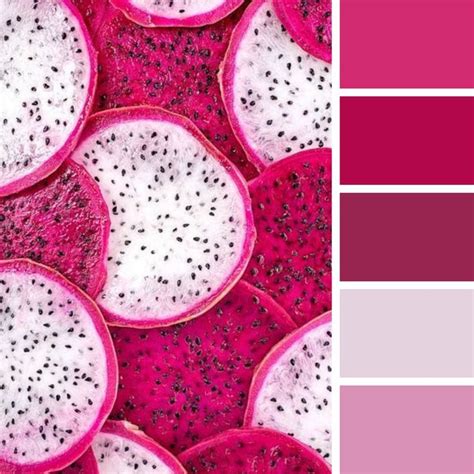 Dragon Fruit Color Palette Palette Couleur Fruit Du Dragon Gamme De