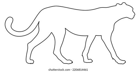 Isolated Silhouette Cheetah Outline Illustration Cheetah Stock Illustration 2206814461 ...