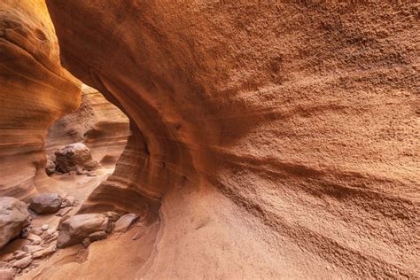 Barranco De Las Vacas Un Paisaje Memorable Marca Canaria