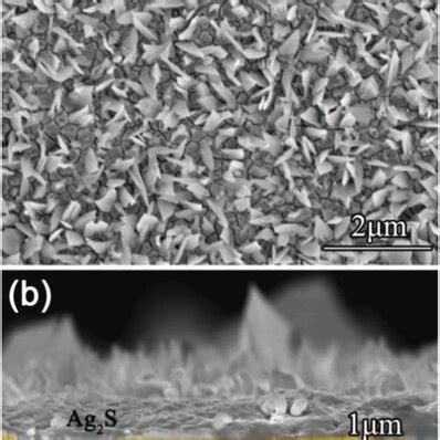 A Surface And B Crosssection Sem Images Of The Ag S Ag Thin Film