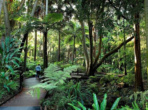 Royal Botanic Gardens Victoria, Melbourne Gardens, Attraction ...