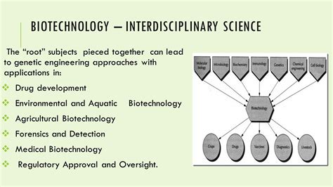 Environmental Biotechnology: Solutions for a Cleaner Planet