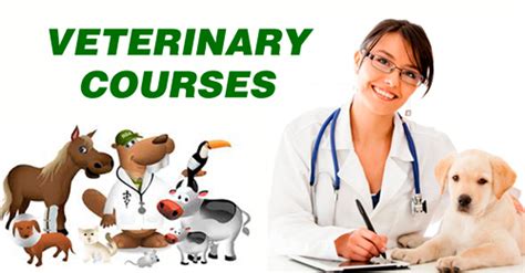 Veterinary Courses Details – Eligibility, Syllabus, Duration and Career ...