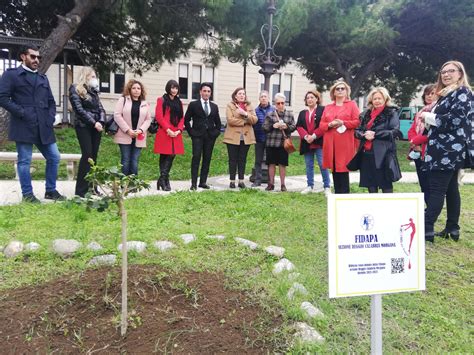 Reggio Calabria Sul Lungomare Un Albero Contro La Violenza Sulle Donne