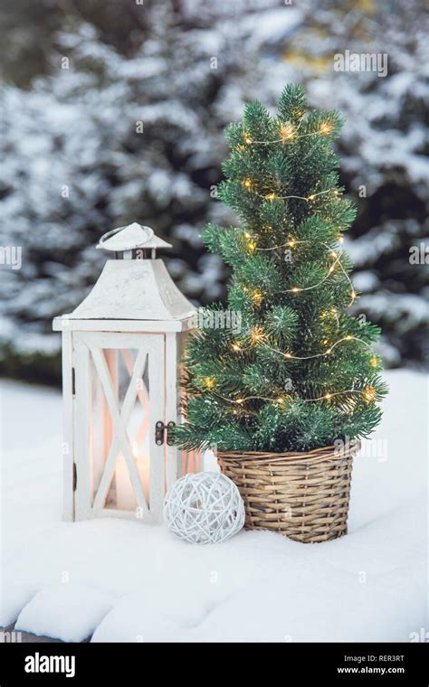 Nordic Fir Trees Hi Res Stock Photography And Images Alamy