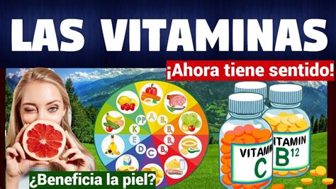 Todo Sobre Las Vitaminas Tipos Y Funciones Caracteristicas Youtube