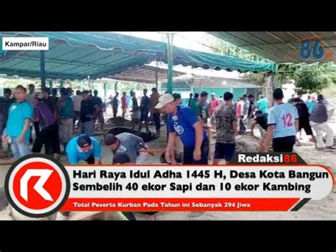 Hari Raya Idul Adha H Desa Kota Bangun Sembelih Ekor Sapi Dan