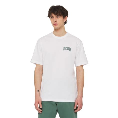 Buy Dickies Aitkin T Shirt At Sick Skateboard Shop