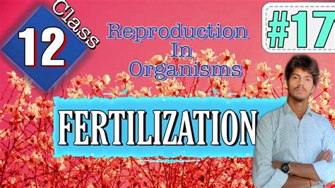 Fertilization Part Class Reproduction In Organisms Cbse