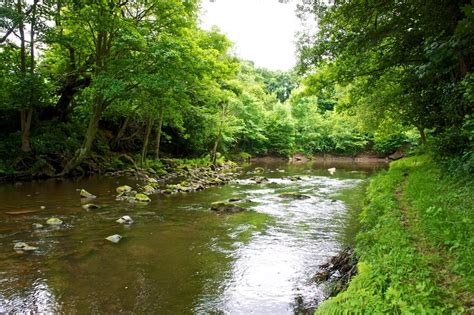 River Esk Near Egton Bridge Paul Buckingham Cc By Sa 2 0 Geograph