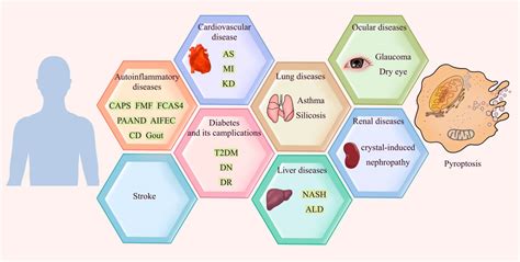 Frontiers The Role Of Pyroptosis In Inflammatory Diseases