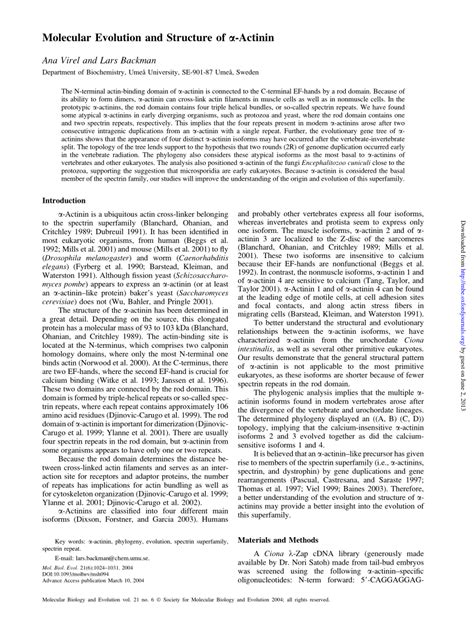 Pdf Molecular Evolution And Structure Of Actinin