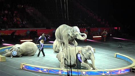 Ringling Brothers And Barnum And Bailey Circus Elephants Youtube