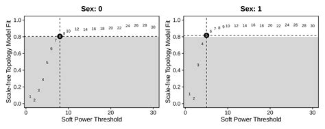 Consensus Network Analysis • Hdwgcna