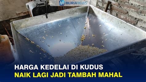 Harga Kedelai Di Kudus Naik Lagi Jadi Tambah Mahal Youtube