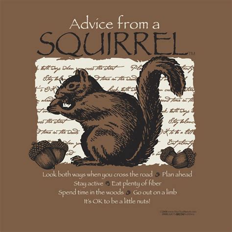 Advice From a Squirrel™ T-Shirt (Adult 2X)