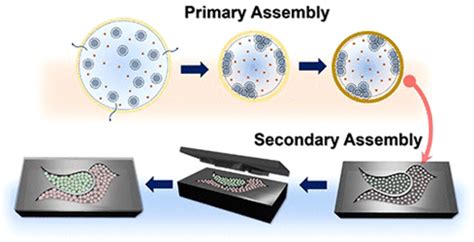 Elastic Photonic Microcapsules Containing Colloidal Crystallites As