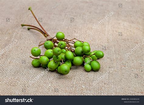 neem trees seeds  jute fabric stock photo  shutterstock