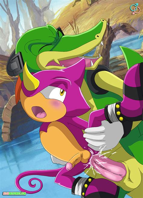 Rule 34 Anthro Chameleon Crocodile Day Espio The Chameleon Furry Interspecies Lizard Male Male