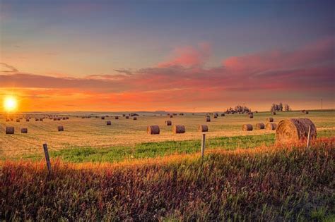 Prairies Alberta Canada Nature Photography Scenery