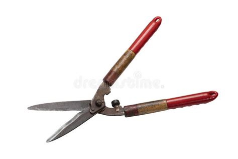 Grass Old Cutting Scissors On White Backgroud Stock Photo Image Of