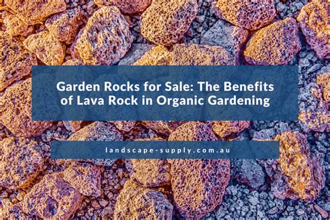 Benefits of Lava Rock in Organic Gardening & Landscaping