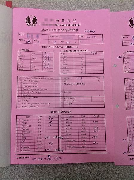 Maymay近況andapya健康檢查報告 38 5am 痞客邦