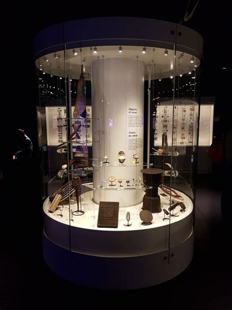 The Display Case Is Filled With Many Items And Has Glass Walls That