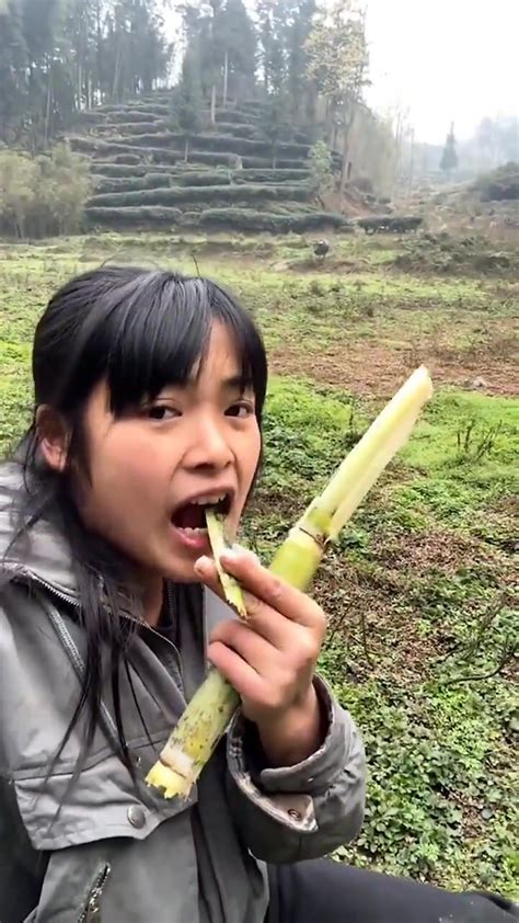 Chinese Girl Eating Bamboo non nude ThisVid em inglês
