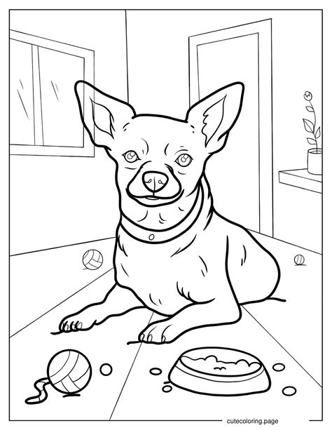 Chihuahua Coloring Pages(20+ free printable coloring pages) | Cute