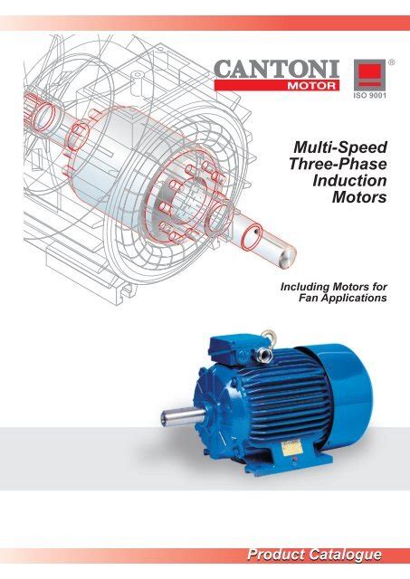 Multi Speed Three Phase Induction Motors Cantoni Group