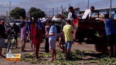 GRTV 1ª Edição Venda de milho é alta em Petrolina na véspera de São